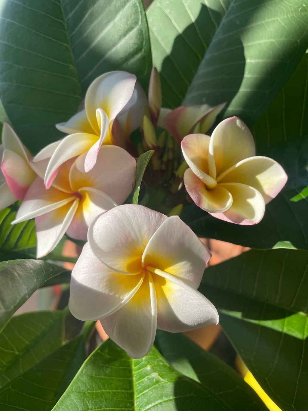 The Silence & The&nbsp;Unraveling